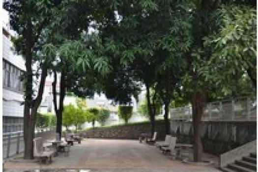 中山市大涌南文小学